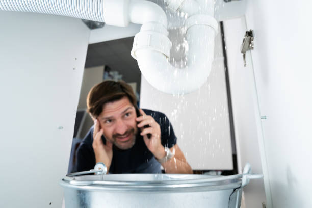 Best Sprinkler Systems  in Takoma Park, MD